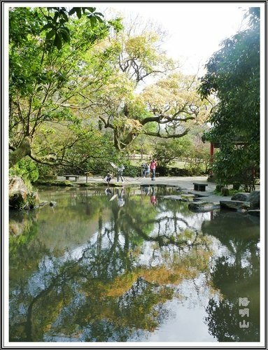 20130124陽明山公園賞櫻隨拍35.jpg