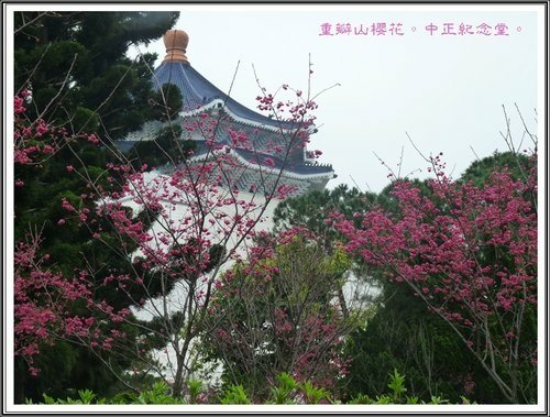 隨拍~中正紀念堂の春02.jpg