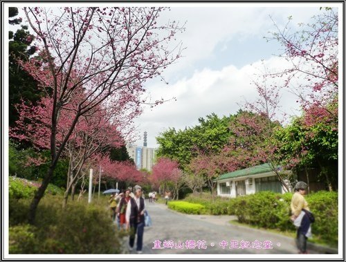 隨拍~中正紀念堂の春12.jpg