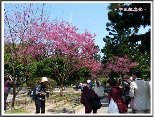 隨拍~中正紀念堂の春13.jpg