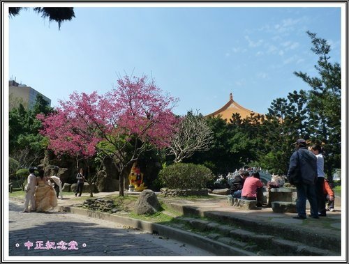 隨拍~中正紀念堂の春14.jpg