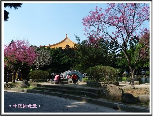 隨拍~中正紀念堂の春15.jpg