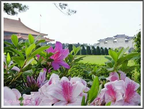 隨拍~中正紀念堂の春18.jpg