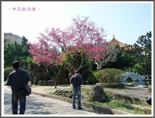 隨拍~中正紀念堂の春23.jpg