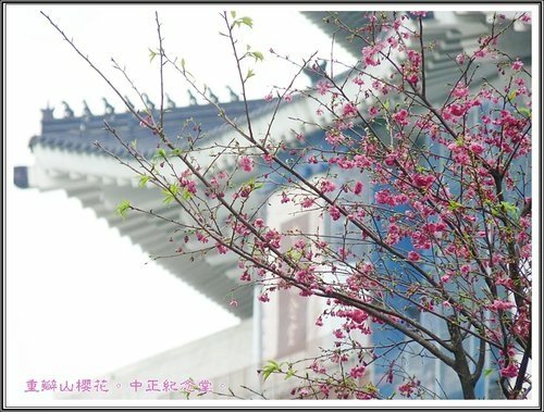 隨拍~中正紀念堂の春25.jpg