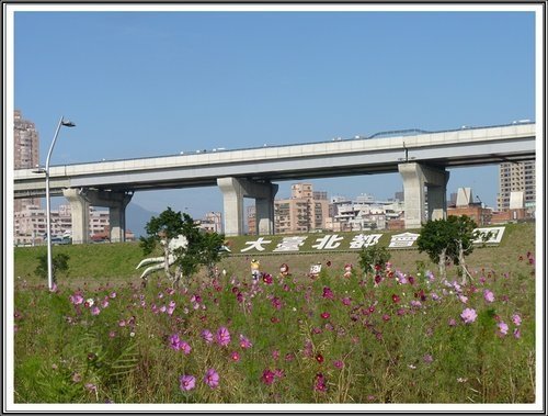 大臺北都會公園~三重水漾園區01.jpg