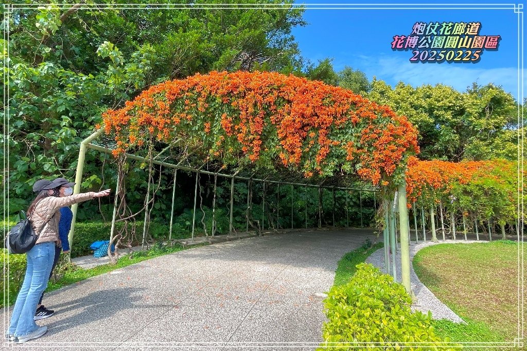 花博公園圓山園區2025022501.jpg