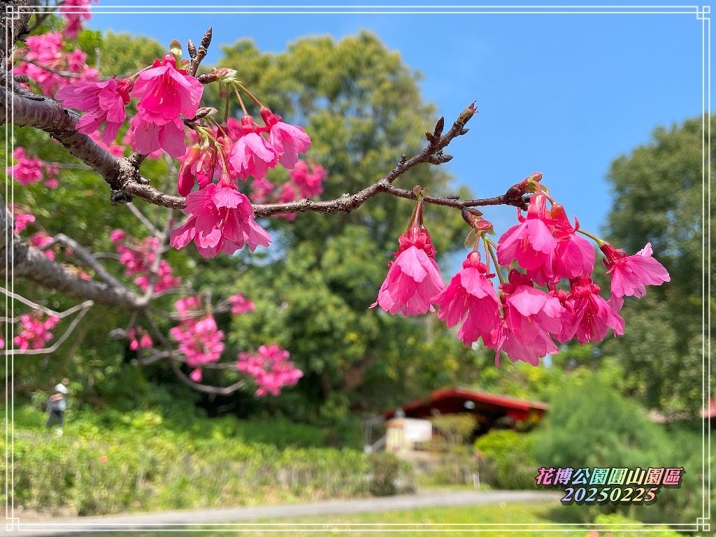花博公園圓山園區2025022507.jpg