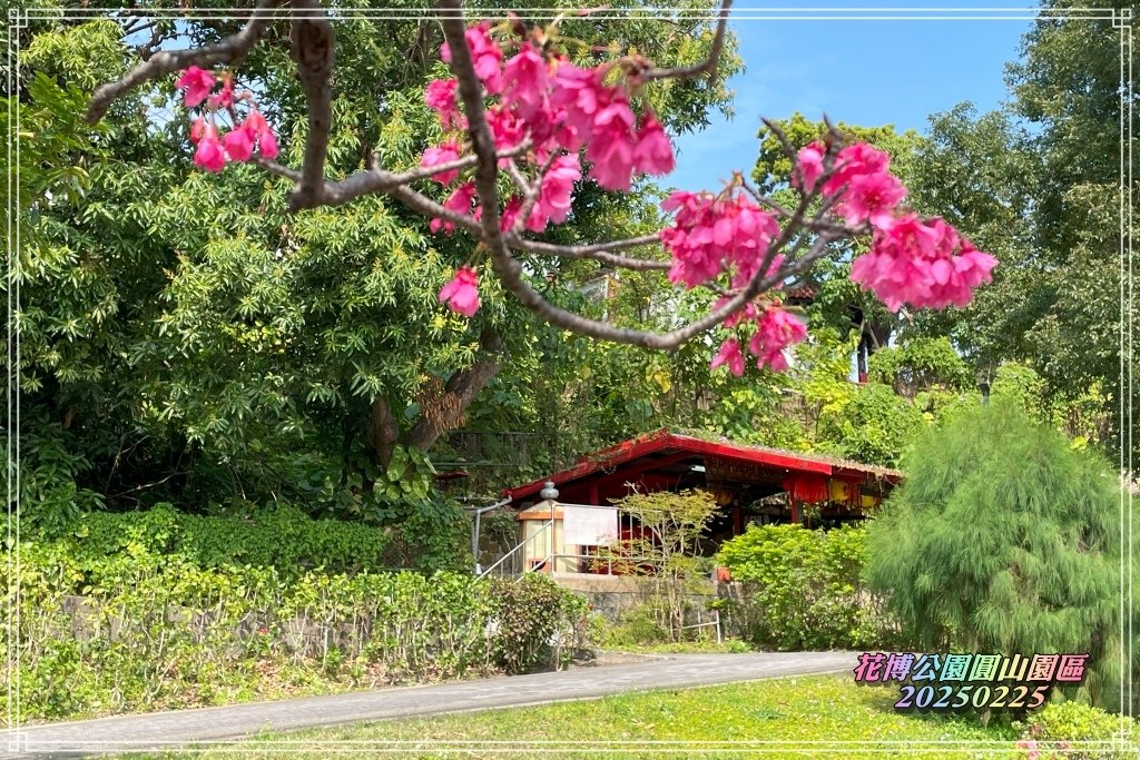 花博公園圓山園區2025022508.jpg
