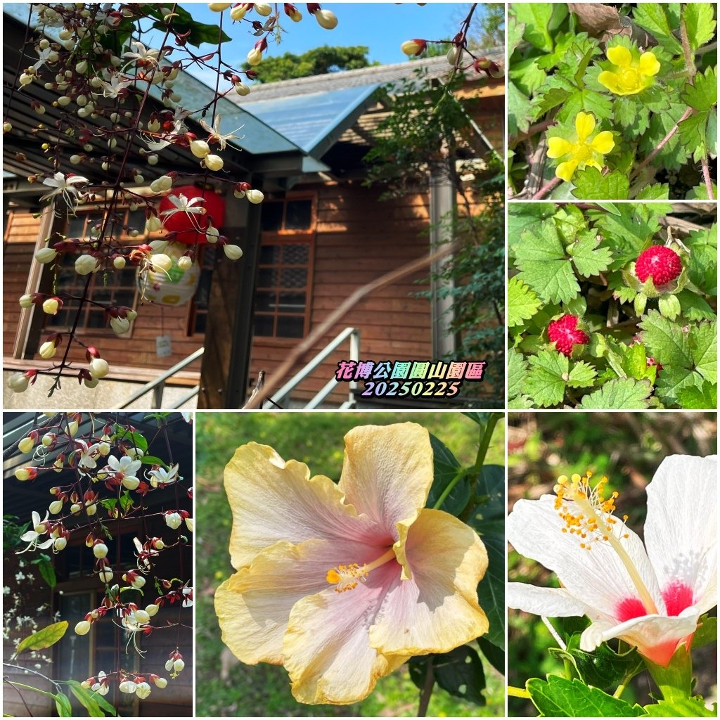 花博公園圓山園區2025022509.jpg