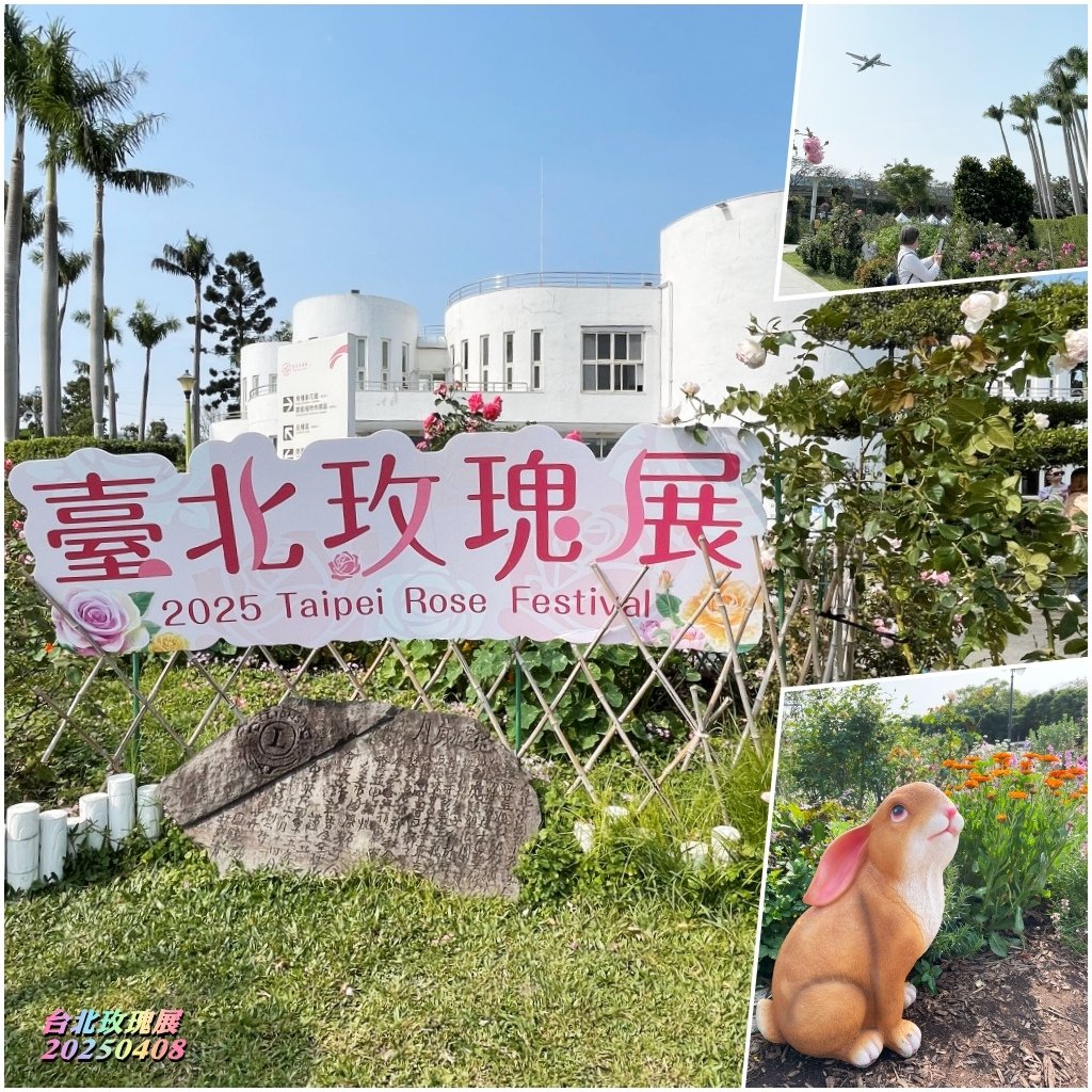 台北玫瑰展2025040825.jpg