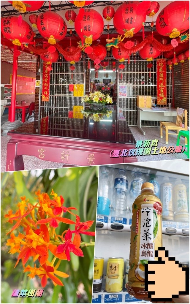 台北玫瑰展2025040844.jpg