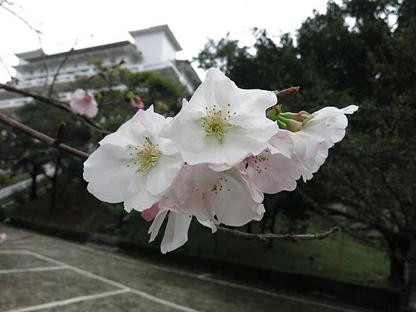 IMG_7822