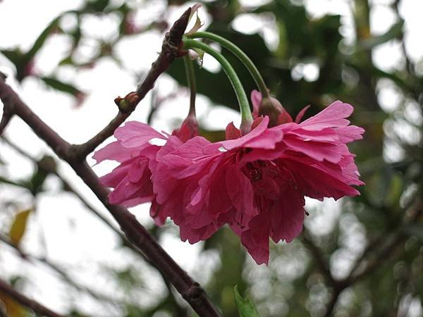 IMG_7905