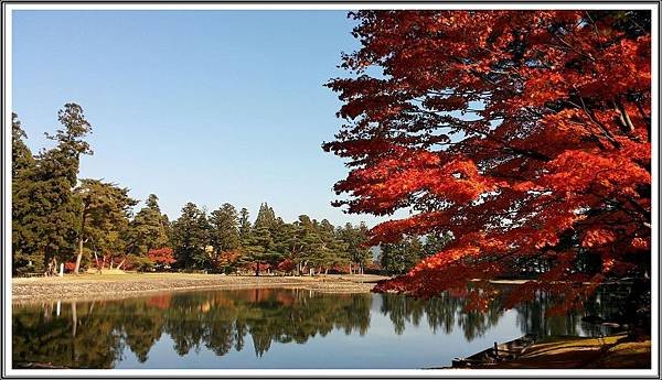 20141031_122402-rr