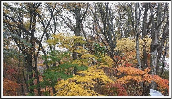 20141101_102544-rr