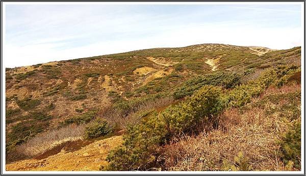 20141102_121153-rr