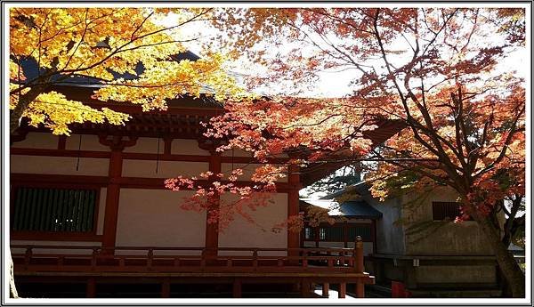 20141031_122816-rr