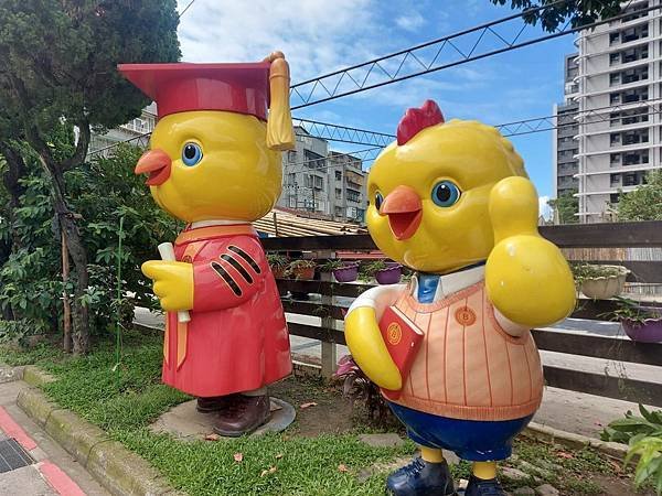 又見鳳凰花開時