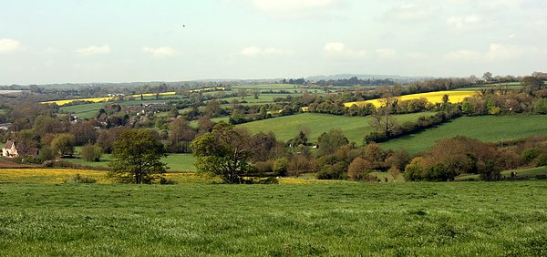 IMG_9185-r.jpg