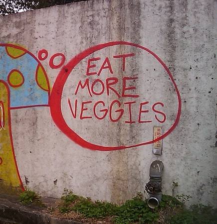IMAG2833-r.jpg