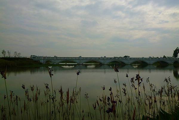 P1080581.JPG