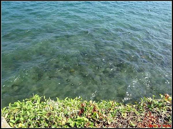 南九州Day2-5-池田湖022.jpg