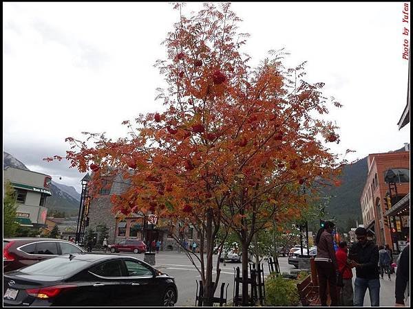 玩美加族-加拿大day4-6 逛街0035.jpg