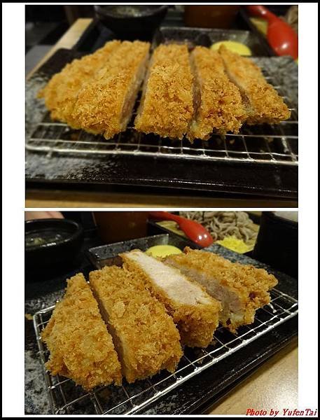 斑鳩的窩10.jpg
