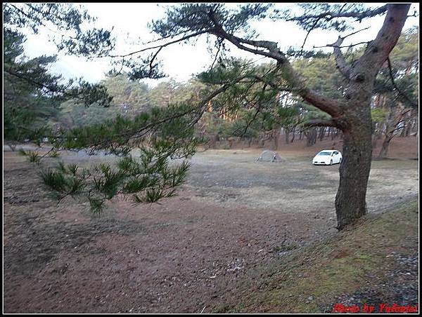 day5-1 晨拍0010.jpg