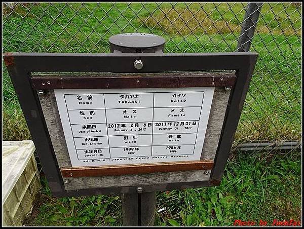 北海道day2-4 丹頂鶴自然公園038.jpg
