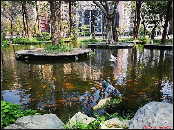 6.大東濕地公園 大東文化藝術中心028.jpg
