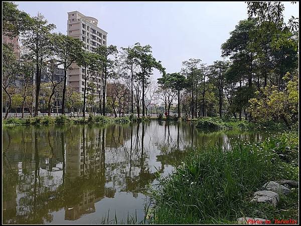 6.大東濕地公園 大東文化藝術中心049.jpg