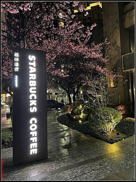 林口文化三路星巴克011.jpg