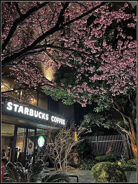 林口文化三路星巴克020.jpg