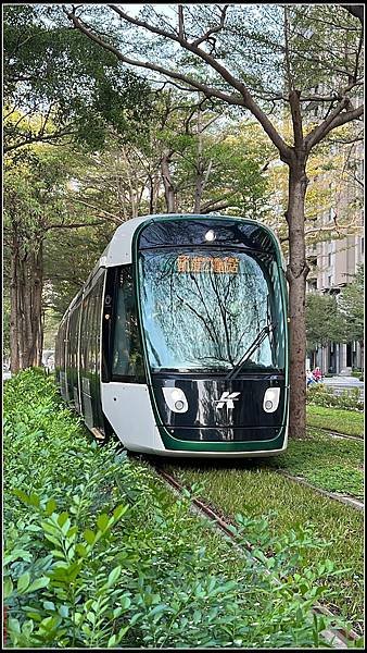 高雄龍貓隧道0024.jpg