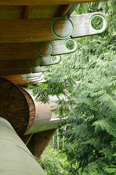 canopy-living-amongst-the-trees-forest-house.jpeg