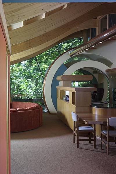 curved-roof-rooms-design-tree-house.jpeg