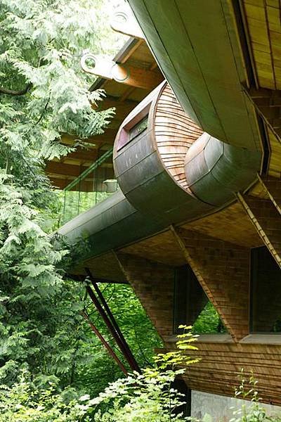 insane-tree-house-design-oshatz-wilkinson.jpeg