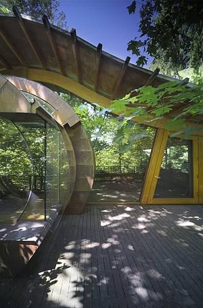 tree-house-deck-patio-design.jpeg