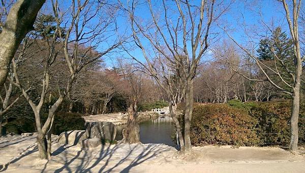 2015-12-04 10.03.24.jpg