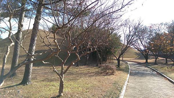 2015-12-04 13.18.30.jpg