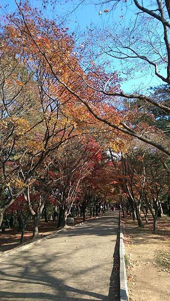 2015-12-04 13.40.42.jpg