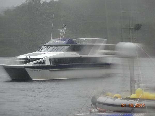 《紐西蘭南島》3 神奇峽灣之旅Doubtful Sound、