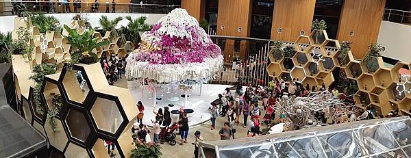 20181207_181208_0081.jpg
