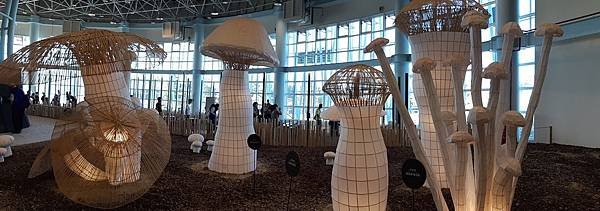 20181207_181208_0110.jpg
