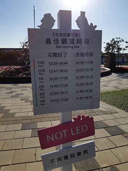 20181218_181218_0151.jpg
