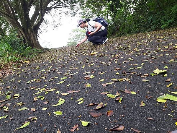 《新北市新店區》和美山步道~從南側入口(美之城) 至北側入口