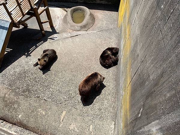 《北海道》3  道南地區~定山源泉公園、北海道神宮、大通公園