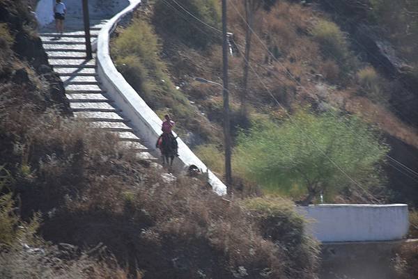 《希臘》6 聖托里尼島~費拉纜車、伊利亞修道院、皮爾戈斯山城